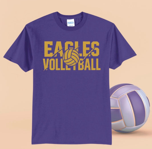 Design #3 FVB