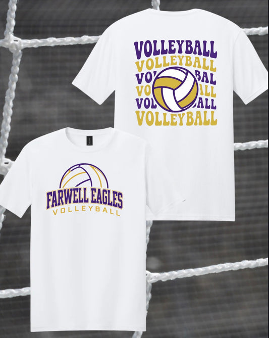 Design #4 FVB